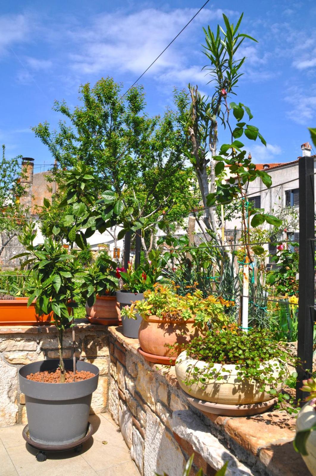 Apartment Delight City Rovinj Bagian luar foto