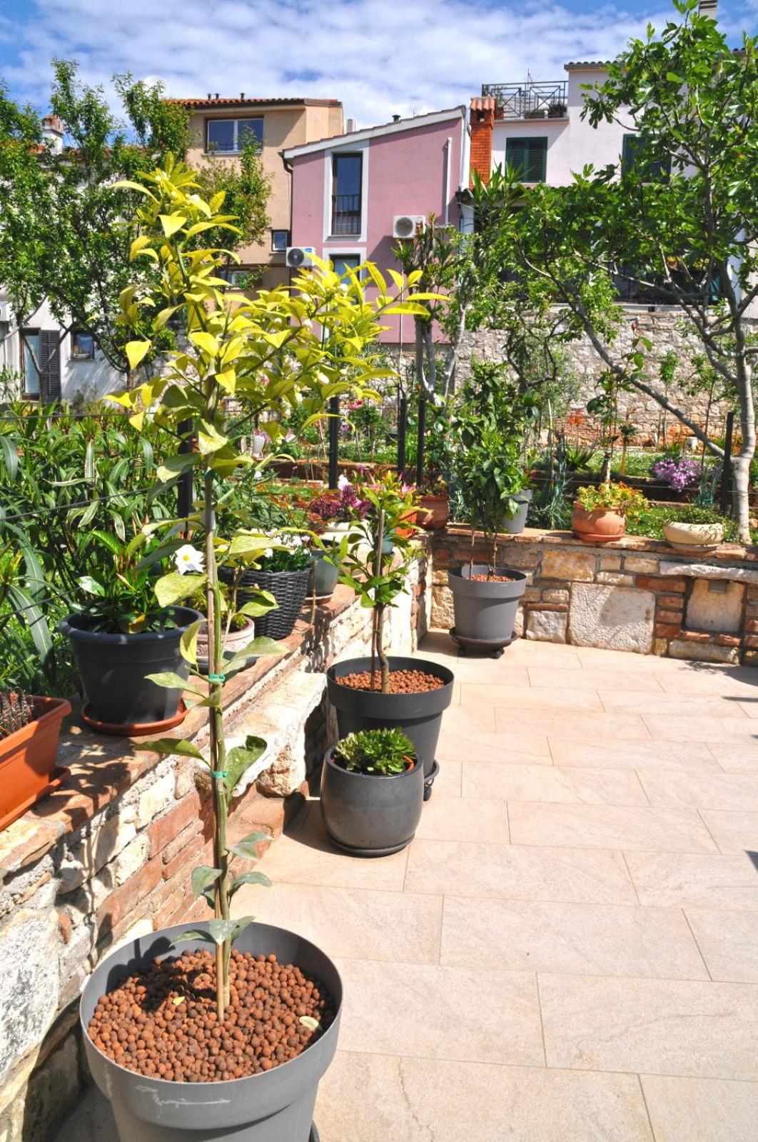 Apartment Delight City Rovinj Bagian luar foto